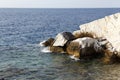 Aegean seashore and marble rocks in Aliki Royalty Free Stock Photo