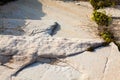 Aegean seashore and marble rocks in Aliki, Thassos island Royalty Free Stock Photo