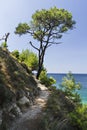 Aegean seashore Royalty Free Stock Photo