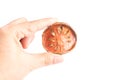 Dry bael fruit in hand isolated on white background Royalty Free Stock Photo