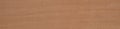 Aegrelle veneer surface with a smooth gradient and delicate terracotta shading