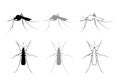 Aegypti Mosquito Vector Icon, Gnat Bloodsucking Insect Sign