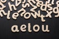 AEIOU Wooden Letters