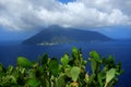 Opuntia ficus, Aeolian Islands, Italy