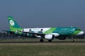 Aer Lingus Irish rugby livery plane