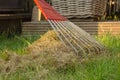 Aerating and cleaning the lawn with a big rake. Royalty Free Stock Photo