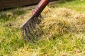 Aerating and cleaning up the grass with a rake in the garden. Royalty Free Stock Photo
