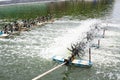 Aeration turbines in the shrimp farm