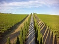 Aereal view chianti Royalty Free Stock Photo