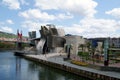 aereal view of Guggenheim Museum, Bilbao