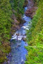 Aereal view of the Koksilah river in Vancouver Island, Canada