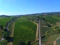 Aereal view of vineyard chianti drone Royalty Free Stock Photo