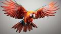 the aerial acrobatics of a parrot on agile flight against a pure white backdrop Royalty Free Stock Photo