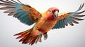 the aerial acrobatics of a parrot on agile flight against a pure white backdrop Royalty Free Stock Photo