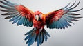 the aerial acrobatics of a parrot on agile flight against a pure white backdrop Royalty Free Stock Photo