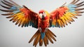 the aerial acrobatics of a parrot on agile flight against a pure white backdrop Royalty Free Stock Photo