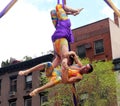 Aerial acrobats. Royalty Free Stock Photo