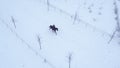 AERIAL: Active woman riding her beautiful brown horse down a snow covered trail.