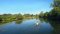 AERIAL: Active young couple paddles their canoe down a tranquil dark blue river. Royalty Free Stock Photo