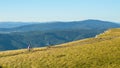 AERIAL: Active young couple riding their mountain bikes along a scenic path. Royalty Free Stock Photo