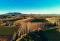 Aerial agricultural fields, cultivated lands of Granada. Spain