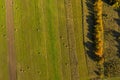 Aerial agricultural pattern view from a drone. Green meadow