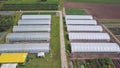 Aerial agricultural view of lettuce production field and greenhouse. Clip. Top view of the greenhouse