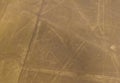 Aerial airplane panoramic view to Nazca geoglyph lines aka spider, Ica, Peru Royalty Free Stock Photo