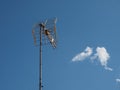 aerial antenna pole