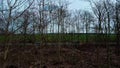 aerial ascent with view of a brown spring nature scene in a park and anarchy graffiti bench in Marzahn Hellersdorf Berlin Germany