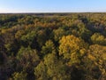 Aerial Autumn Forest Canopy in Warm Hues - Bicentennial Acres, Indiana Royalty Free Stock Photo