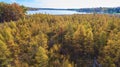 Aerial Autumn Forest and Lake Jimmerson Reflection, Indiana Royalty Free Stock Photo