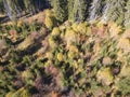 Aerial Autumn landscaape of Vitosha Mountain, Bulgaria Royalty Free Stock Photo