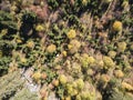 Aerial Autumn landscaape of Vitosha Mountain, Bulgaria Royalty Free Stock Photo
