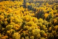 Aerial autumn scene Royalty Free Stock Photo