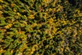 Aerial background of colorful autumn forest canopy Royalty Free Stock Photo