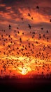 Aerial ballet, orange sunset, birds in formation, sky painting masterpiece