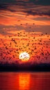Aerial ballet, orange sunset, birds in formation, sky painting masterpiece