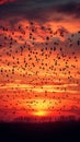 Aerial ballet, orange sunset, birds in formation, sky painting masterpiece