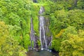 Aerial from Banyumala Twin Waterfalls in Bali Indonesia Royalty Free Stock Photo