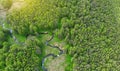 Aerial. Beautiful landscape with summer forest and river. View above from drone Royalty Free Stock Photo