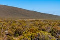 Aerial beautiful view of a forest on the background of Mount Kilimanjaro in Tanzania