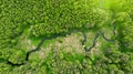 Aerial. Beautiful wild nature background with river in the forest Royalty Free Stock Photo