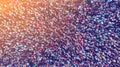 Aerial. Big crowd of people. People gathered together in one place. Top view from drone. Royalty Free Stock Photo