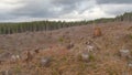 AERIAL: Bleak flying view of a large clearance in the middle of a green forest. Royalty Free Stock Photo