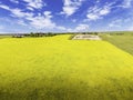 Aerial canola field overlooking an oil and gas drilling rig next to a rural property near the Calgary city limits in Royalty Free Stock Photo