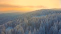 AERIAL: Breathtaking view of lonely wooden cabin in the snowy woods at sunrise.