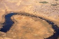 Aerial of Buffalo Herd in Moremi Game REeerve, Okvango Delta Royalty Free Stock Photo