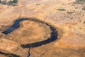 Aerial of Buffalo Herd in Moremi Game Reserve, Okvango Delta Royalty Free Stock Photo