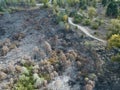 Aerial Burnt out tree remnants of a forest fire Royalty Free Stock Photo